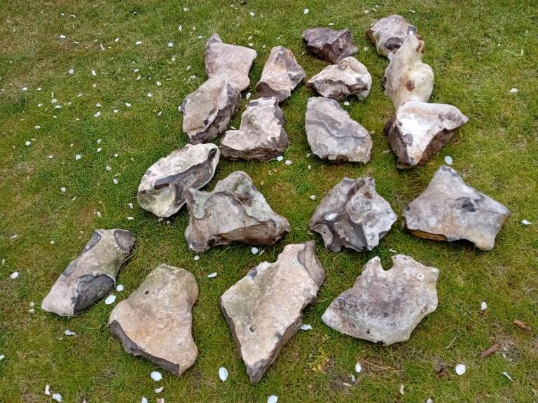 Garden Flints: x18