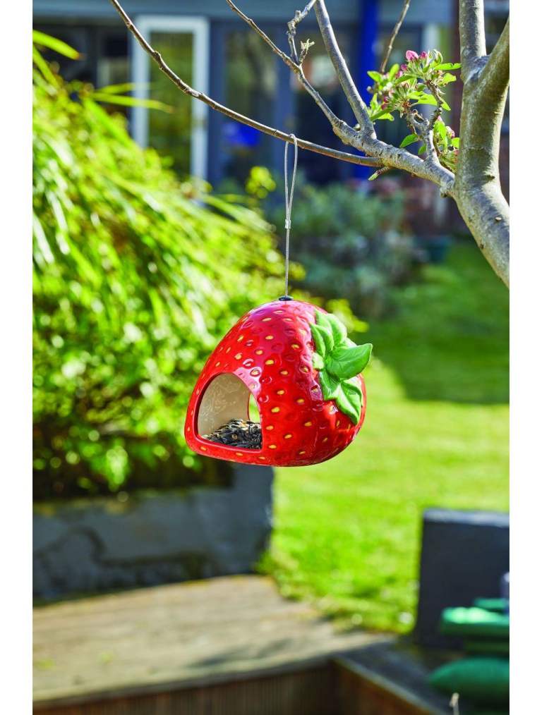 Strawberry Fly Through Feeder 🍓🐦