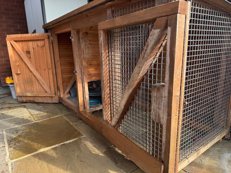 Large Dog Kennel and Run