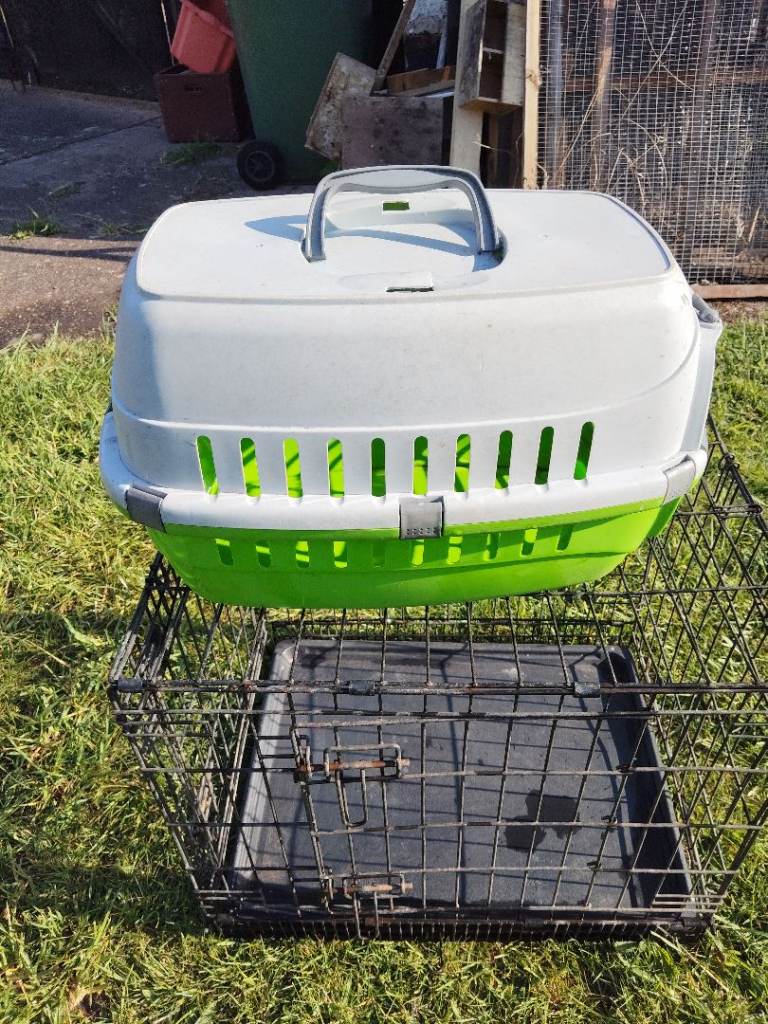plastic pet carrier 