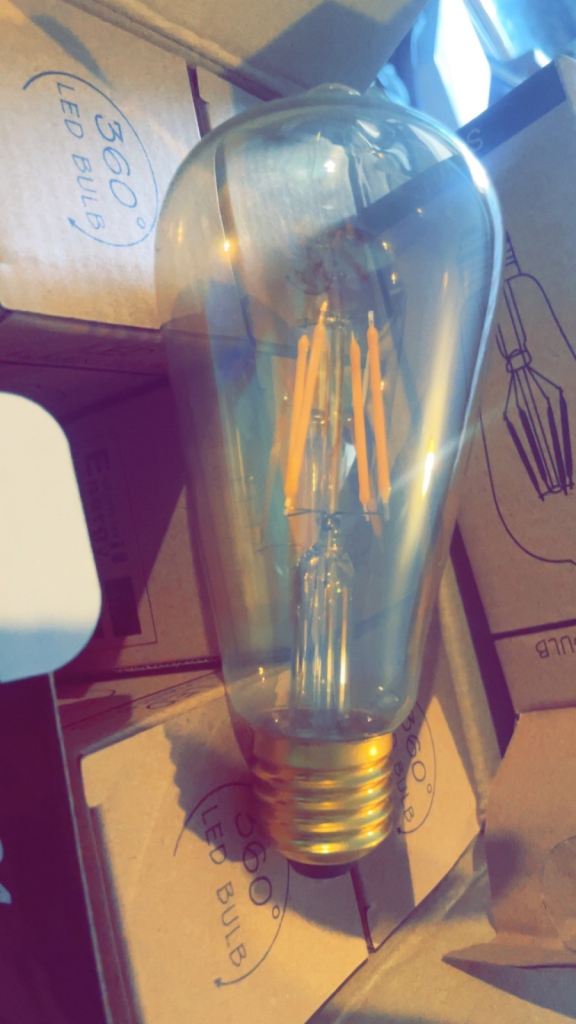 Smart Bulbs & Edison Light Bulbs (Brand New)