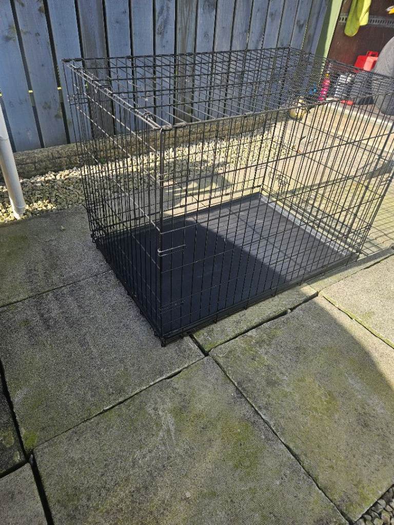Dog crates 