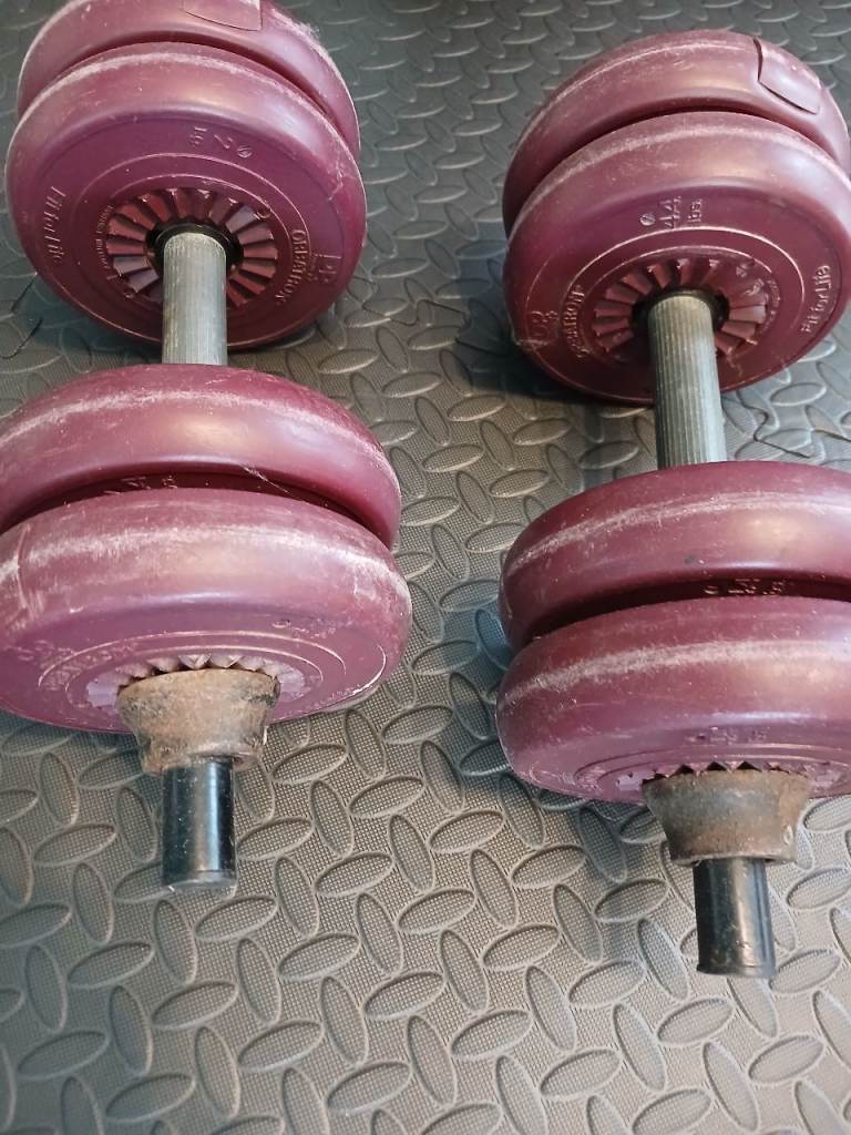 Pair of Adjustable Dumbbells approx 20kg