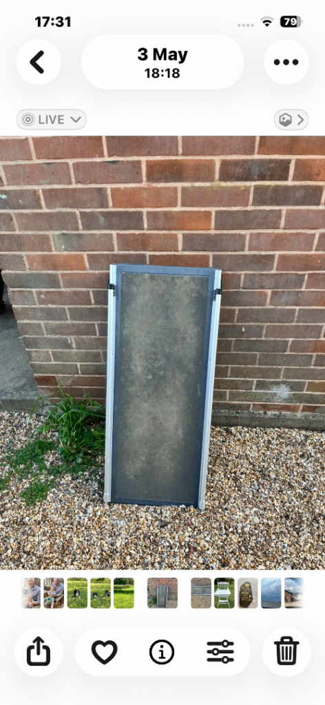 Dog ramp Soltvit