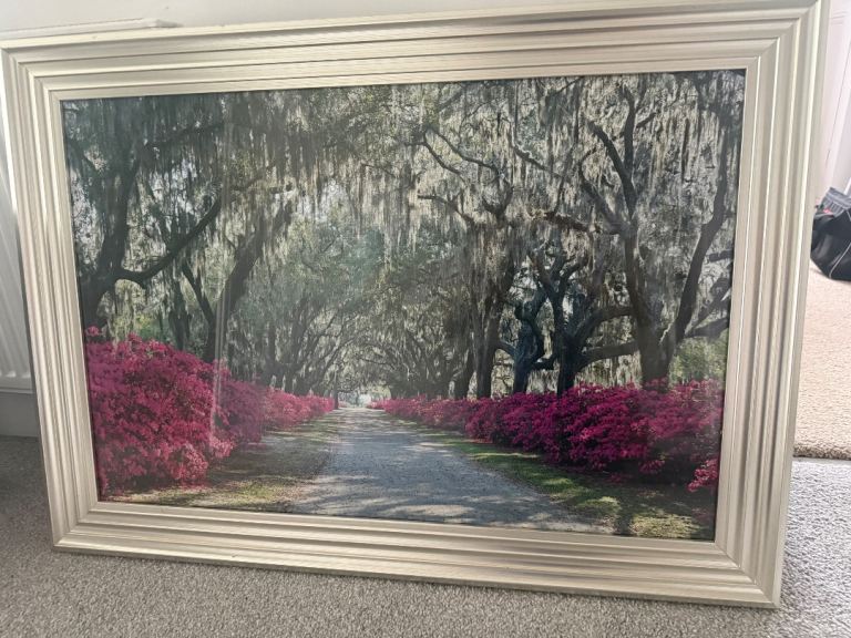 Large Framed Wall Art Picture - Silver Frame, As Good As New