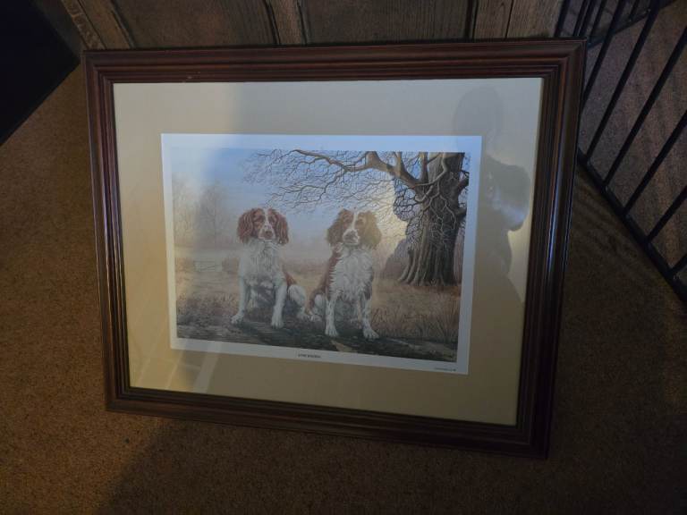 Framed Dog Print – Good Condition