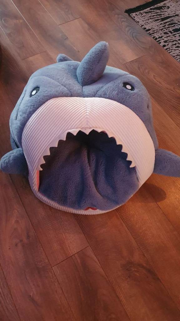 Shark cat bed 