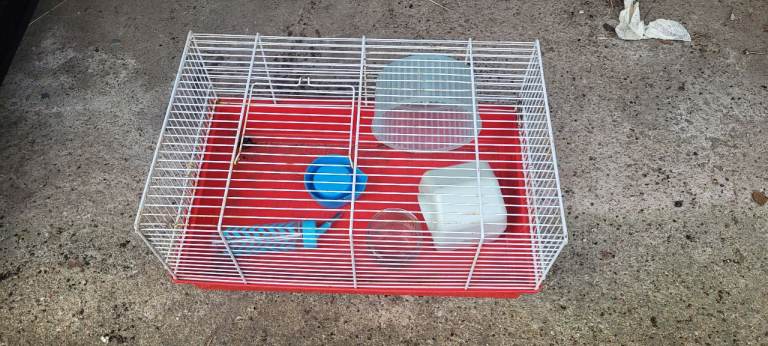 Gerbil   hamster cage