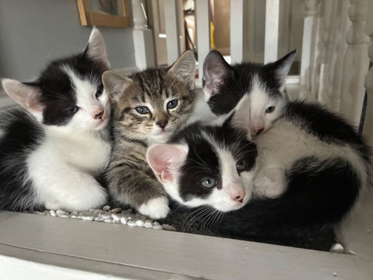 Beautiful babies