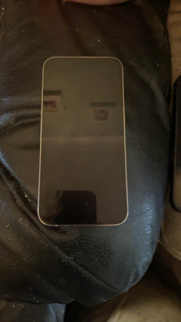 iPhone 13 Pro unlocked 