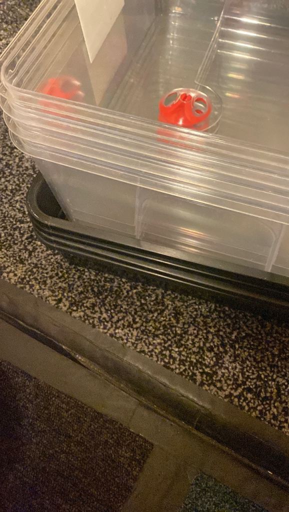 Clear Plastic Garden Propagator x4- Good Condition