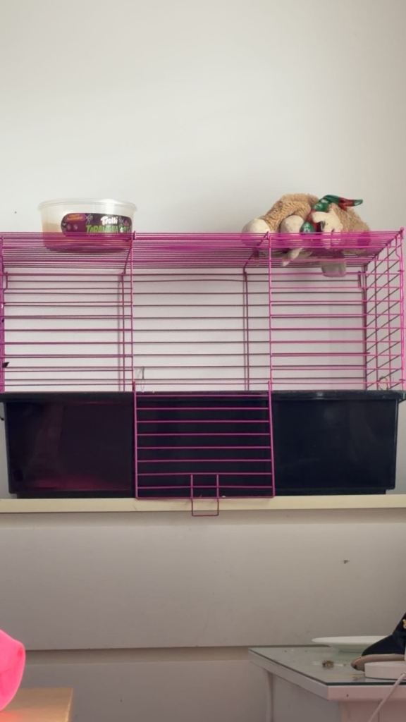 pet cage/ ASAP 