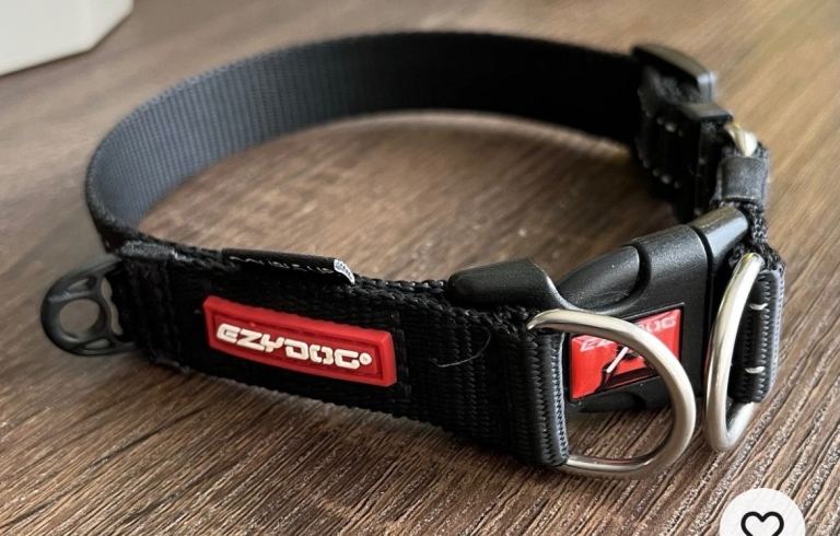 Medium dog collar