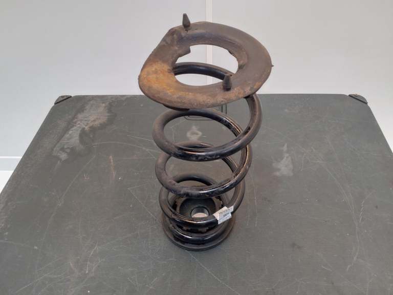 Tesla Model 3 Rear Coil Spring 2017-2023