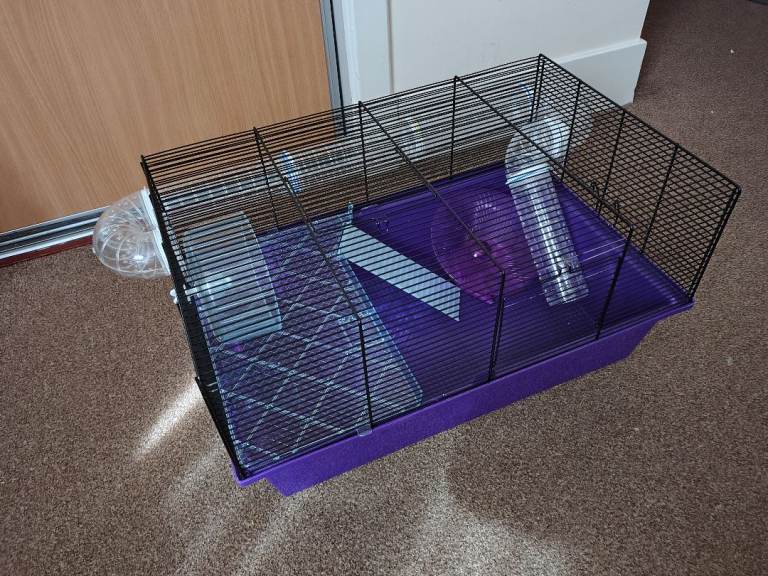 Hamster cage 