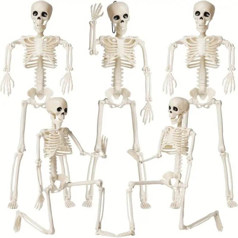 Set of 6 Halloween Skeletons – Poseable Decorations
