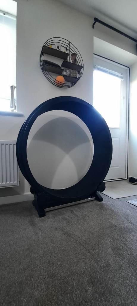 Cat wheel for energetic and indoor cats