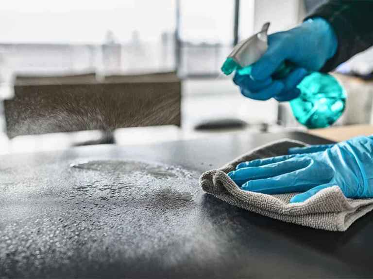 Domestic cleaner