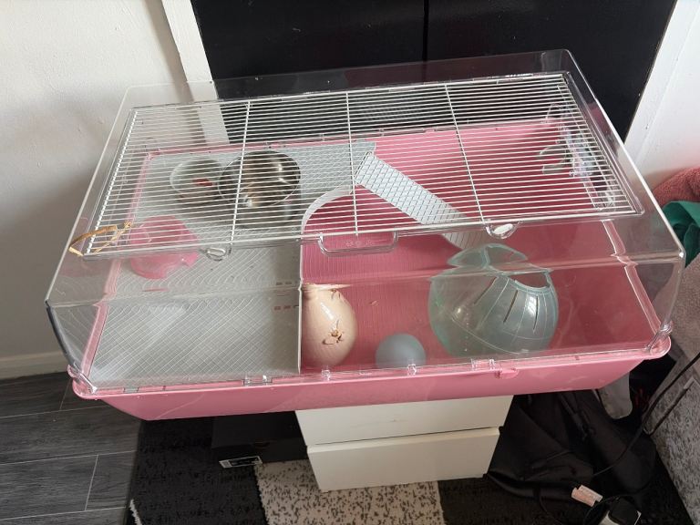 Hamster Cage