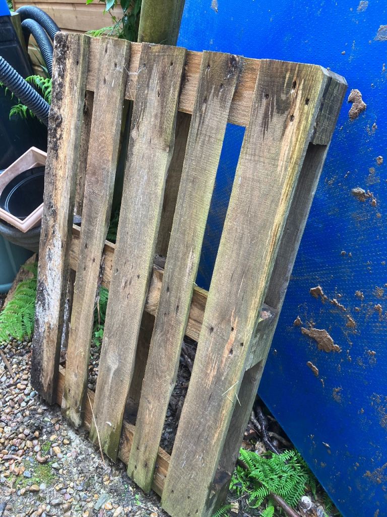 3 untreated wooden pallets