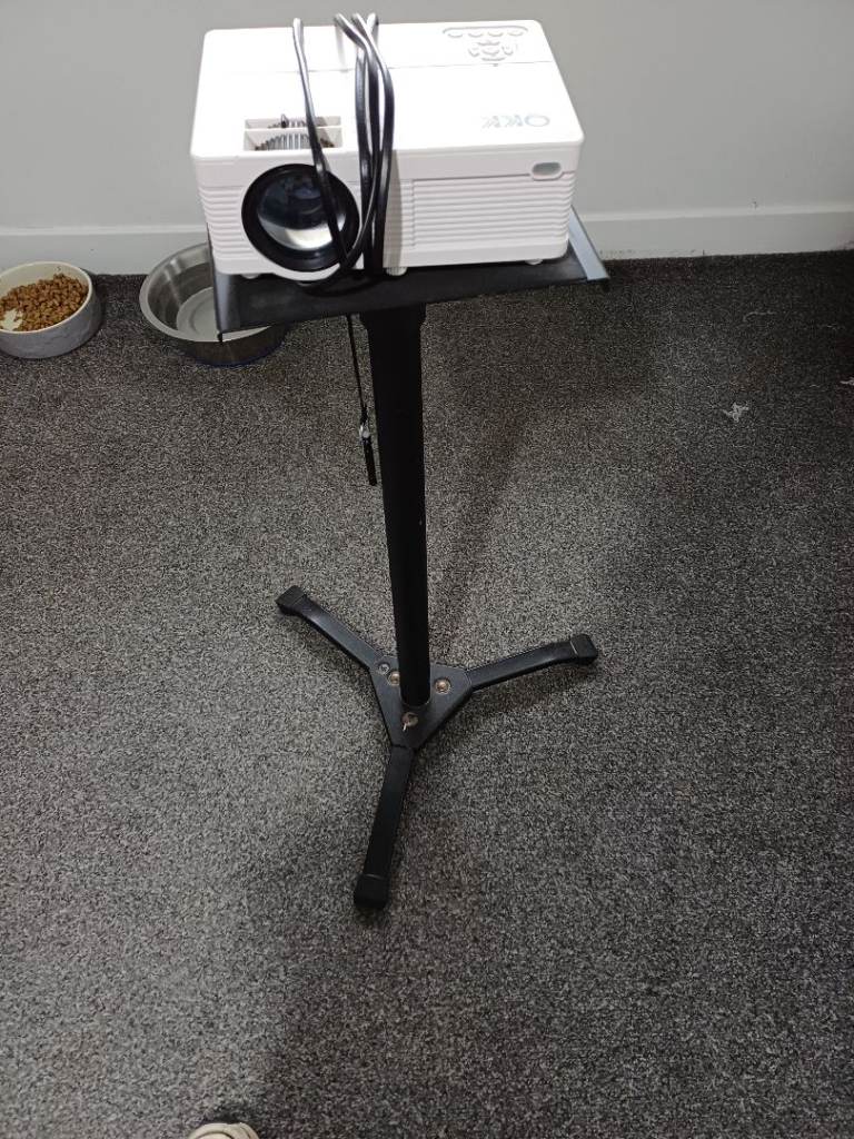 Projector + adjustable stand