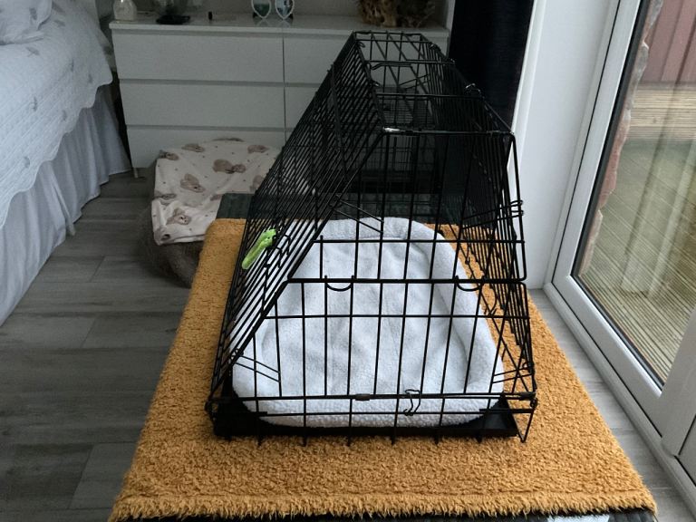 DOG CRATE