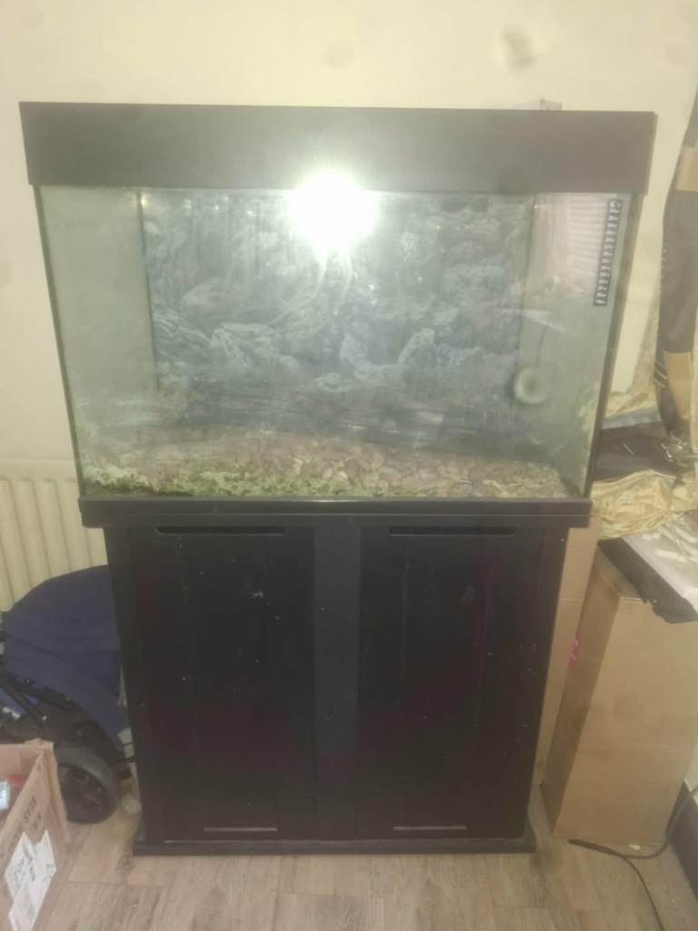 Fish tank