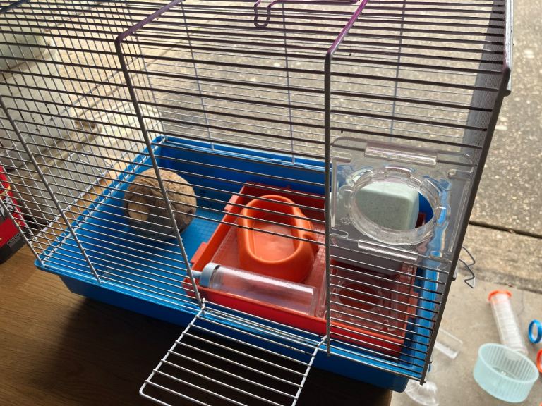 Hamster Cage and Accessories 
