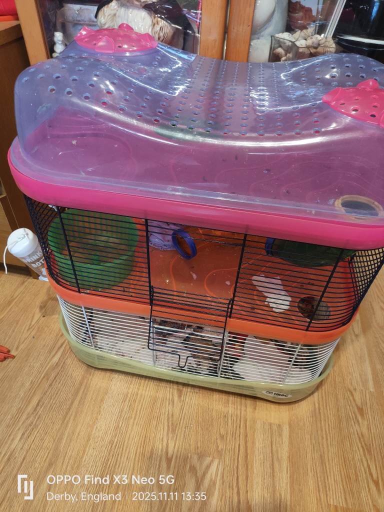 Hamster female with cage