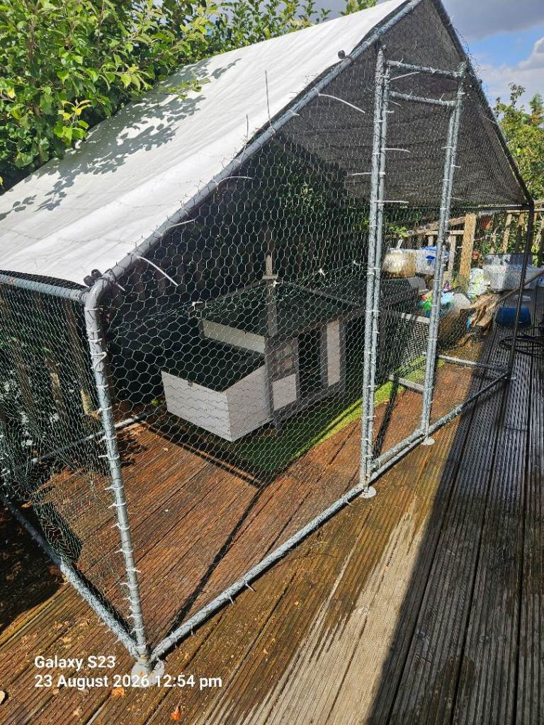 Rabbit/chicken enclosure