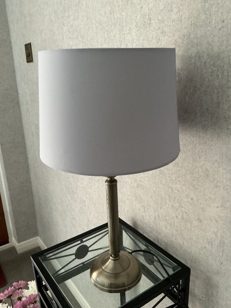 Two matching Lamp Shades