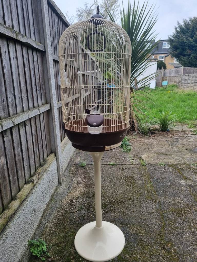 Bird cage 