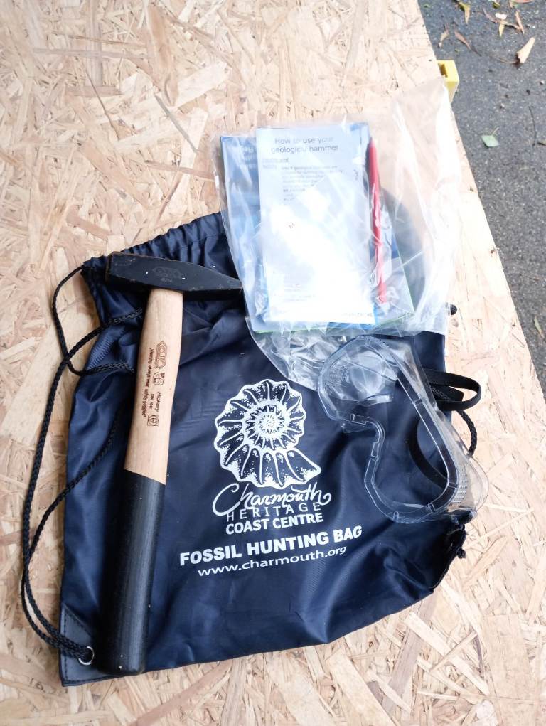 Fossil hunting kit 