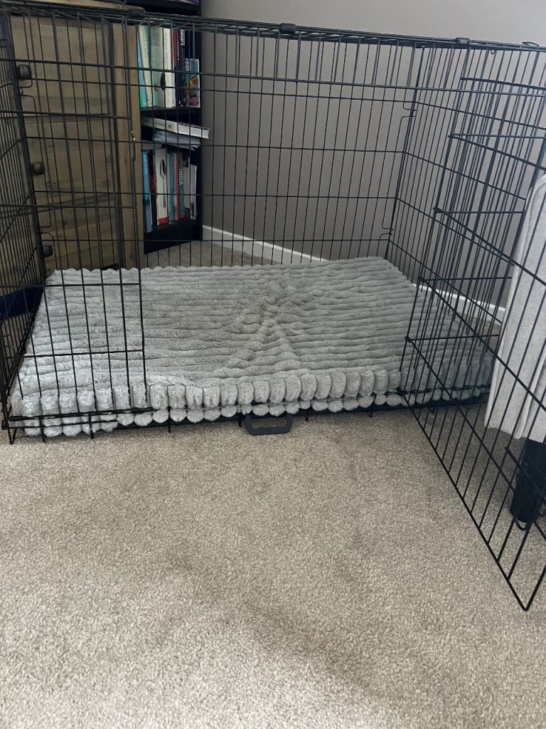 Large dog crate