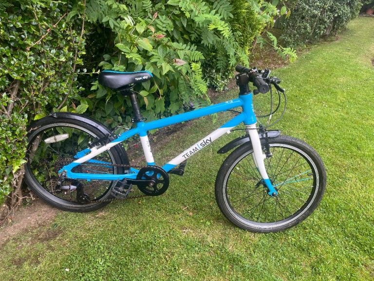 Frog 52 kids bike team sky colors 