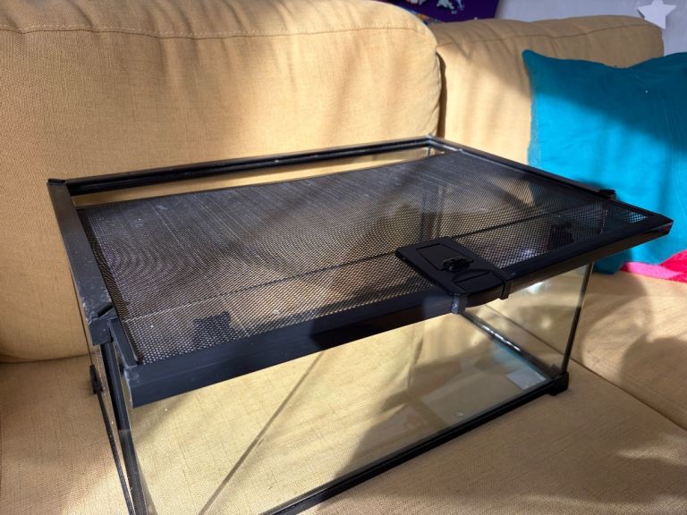 Small Glass Vivarium