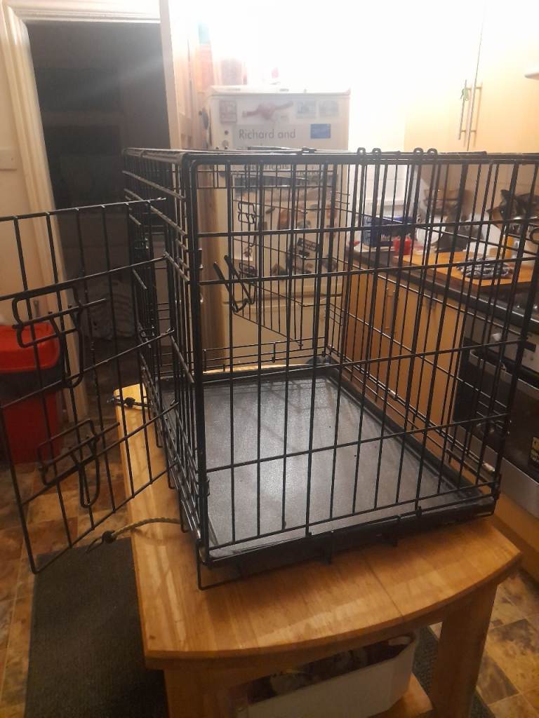 Cat . Small dog pet,cage indoor 