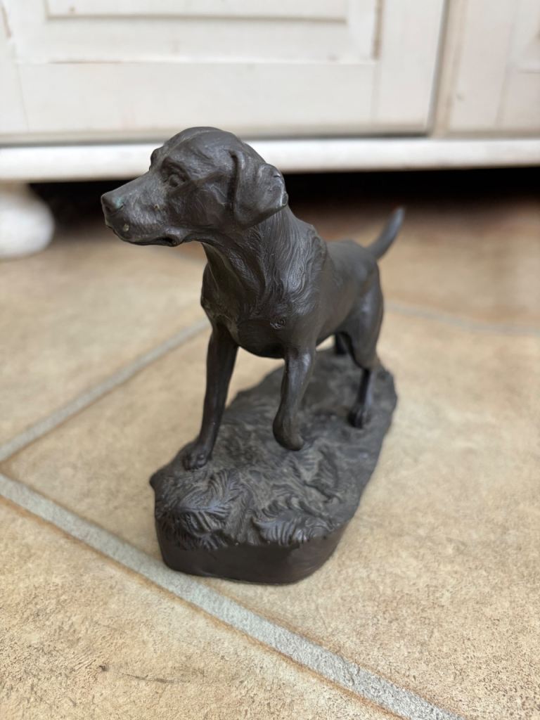 Heredities labrador