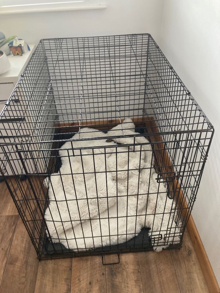 X-Large dog cage 42 inches x29 x 28