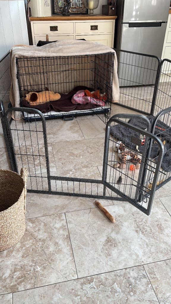 Metal puppy/small dog play pen