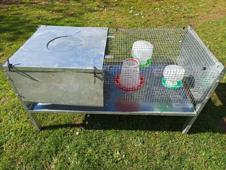 Chick Brooder Cage with Drinkers & Feeder