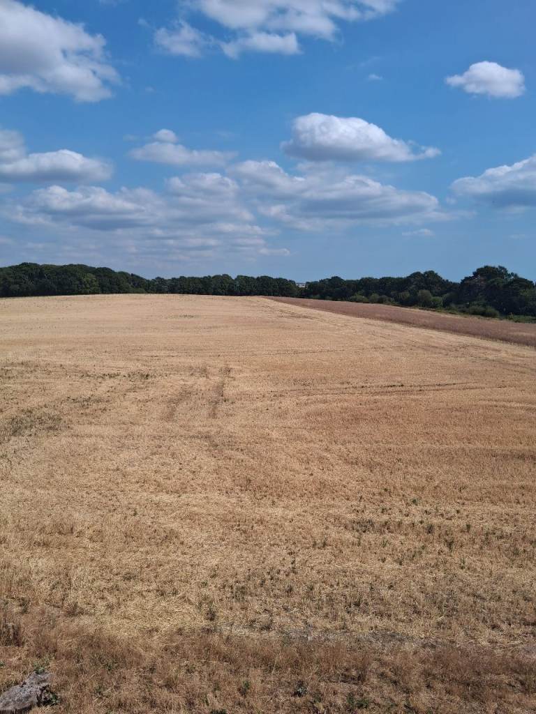 Exceptional Large Serviced En-Suite Room – Fareham