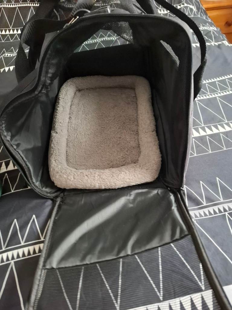 Cat or small dog carrier 