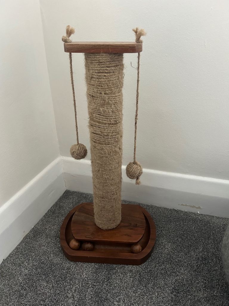 Kitten scratching post 