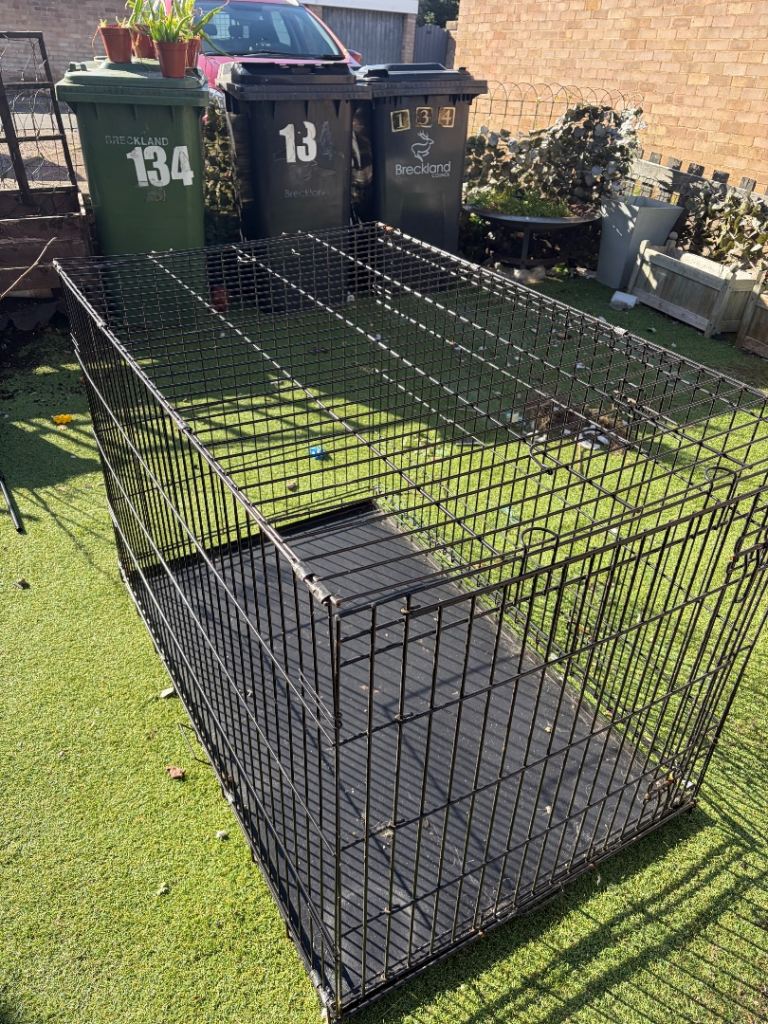 Dog crate 