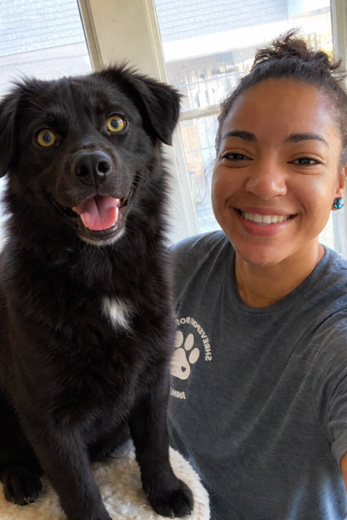 Loving Dog Looking for a New Home 🏡