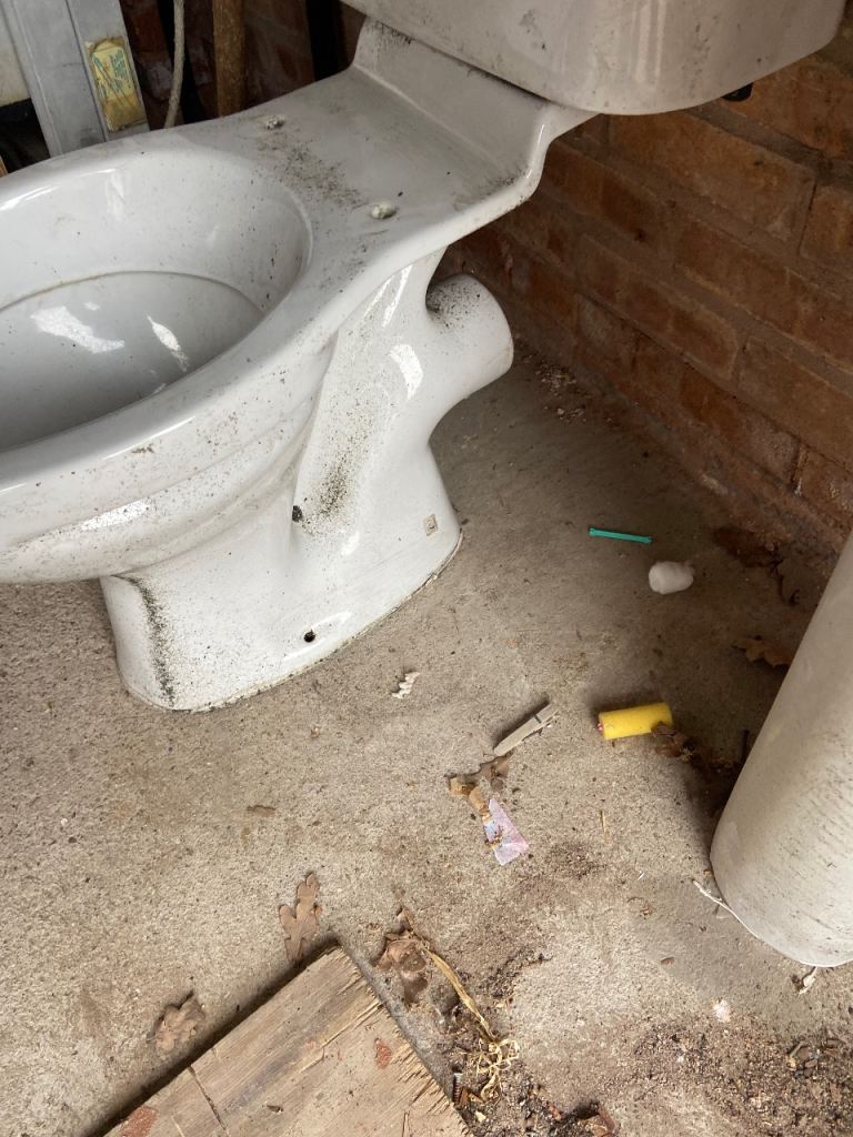 Free to collect toilet and sink 