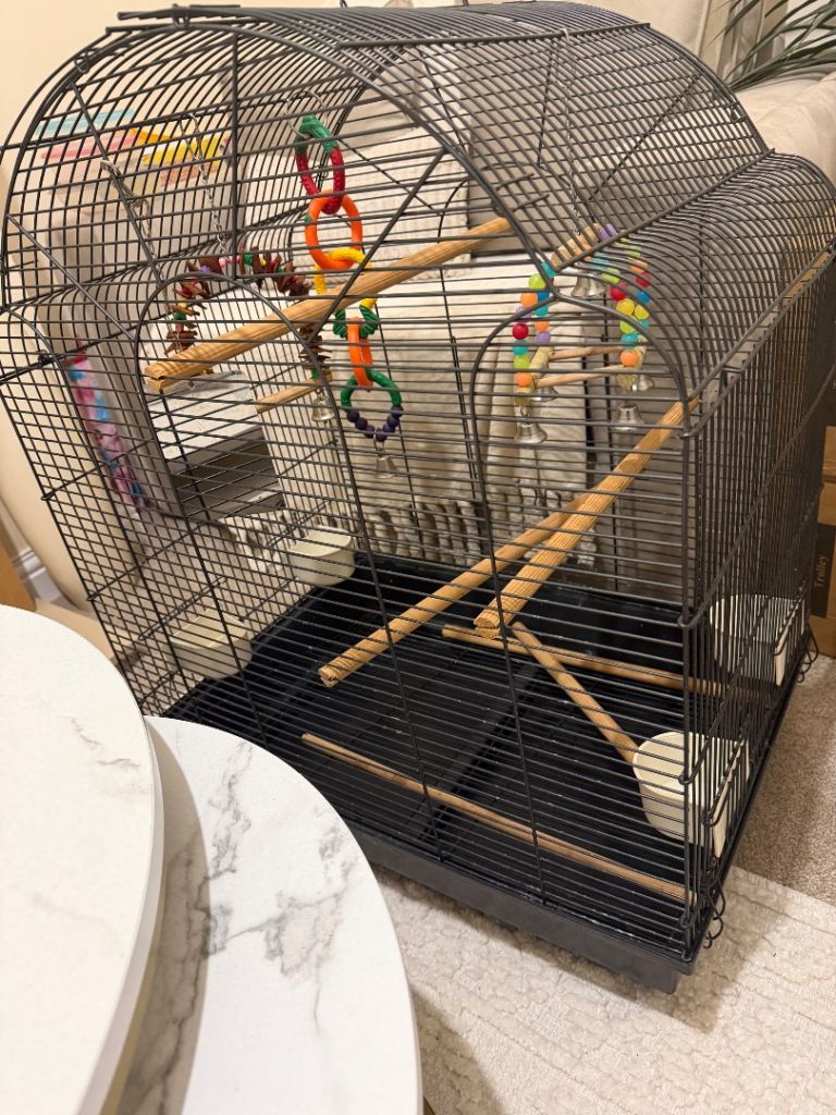Bird cage