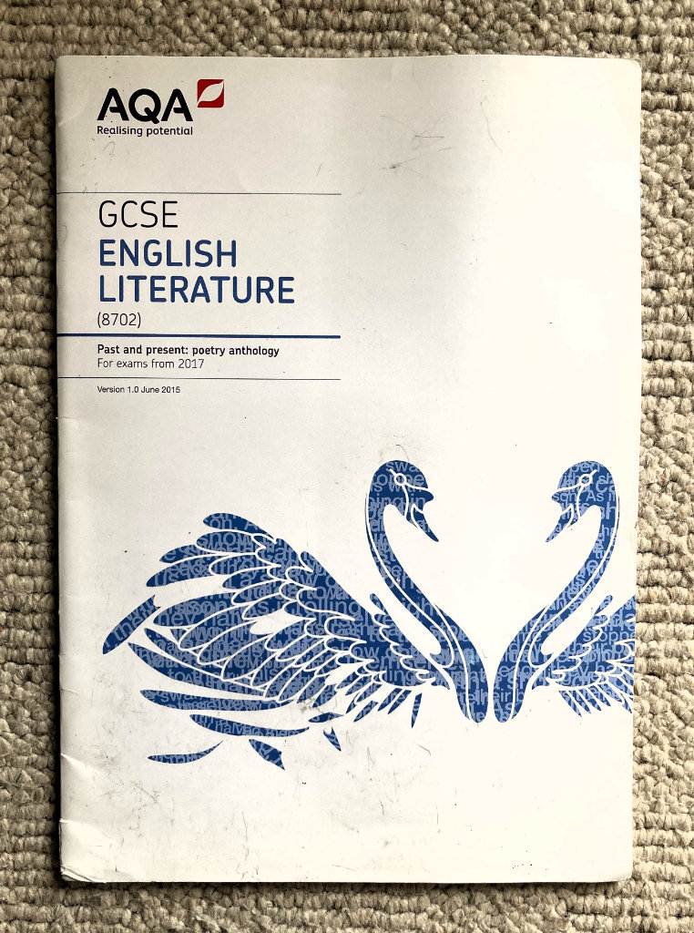 GREAT GCSE BOOK ENGLISH AQA POETRY ANTHOLOGY GUIDE SCHOOL EXAM TUITION REVISION REVISE STUDY EXAMS