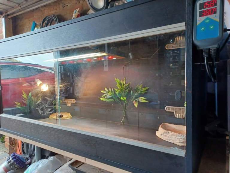 Vivarium LARGE 4 foot with electrics